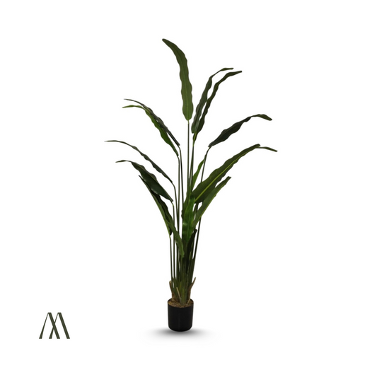 Elegant Blade Grass