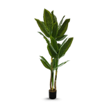 Artificial Plants