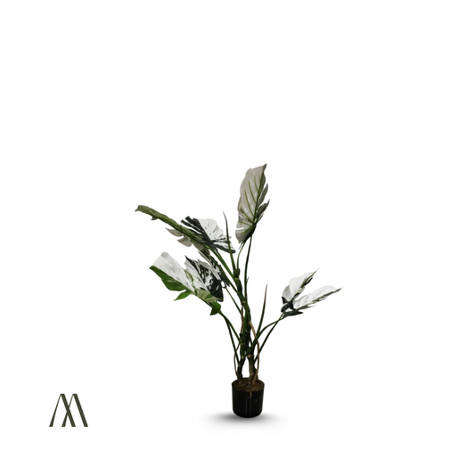 Snowleaf Monstera V.1