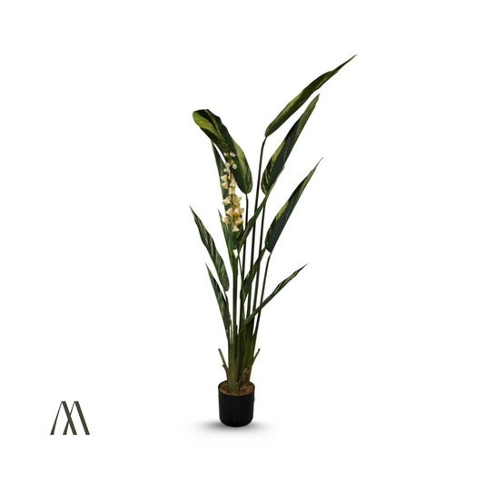 Tropical Faux
